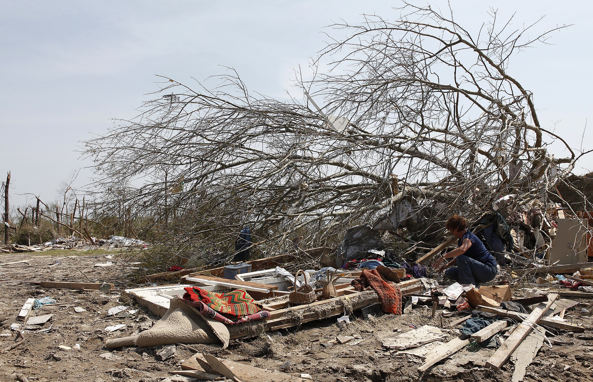 A resident sorting through debris and a fallen tree after a tornado, the start of a storm cleanup